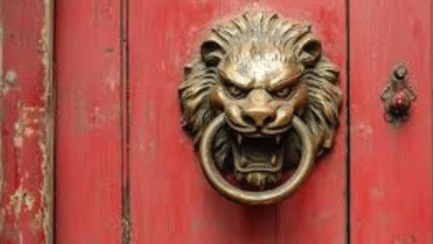 Lion Door Knockers: A Majestic Touch for Traditional Home Entrances