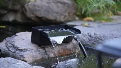 Garden Beauty Unleashed: Smart Tips to Decorate Your Garden and Enhance Your Pond