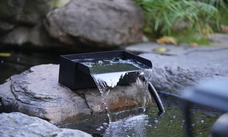 Garden Beauty Unleashed: Smart Tips to Decorate Your Garden and Enhance Your Pond