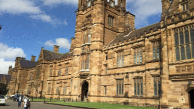 University Fees in Australia: 2025 Overview for Domestic & International Students
