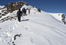 Sauyr Zhotasy: A View from the Top