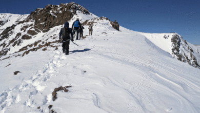 Sauyr Zhotasy: A View from the Top