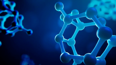 How Do Physicochemical Properties Affect Drugs?