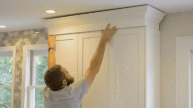 Crown Mold Specialists Guarantee: Complete Guide