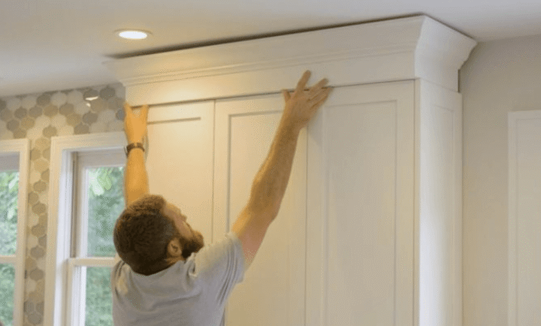 Crown Mold Specialists Guarantee: Complete Guide