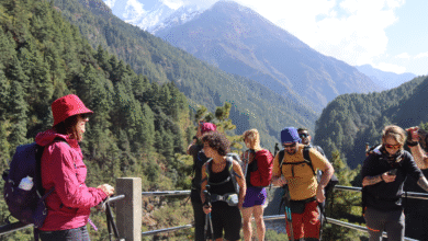 Tea House Experience on the Manaslu Circuit vs Everest Region: What Trekkers Should Really Expect